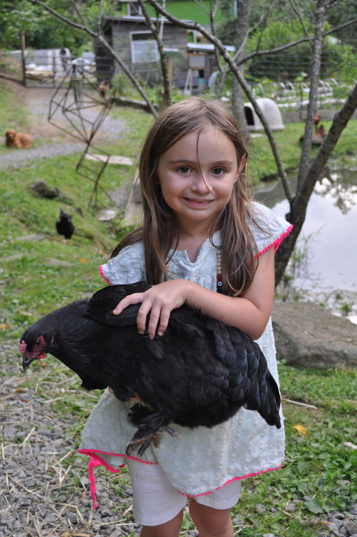 Lyra and chicken.JPG